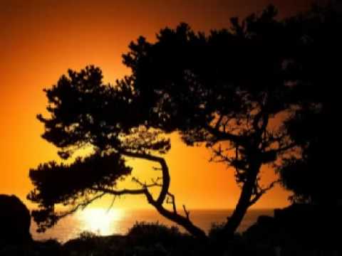 Bill Laswell & Jah Wobble – Alsema dub